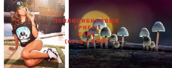 гашик Медногорск