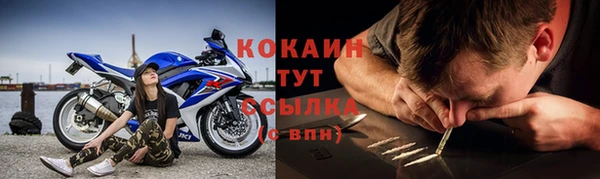 спайс Магас