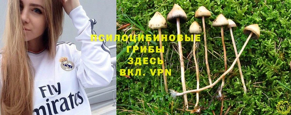 гашик Медногорск